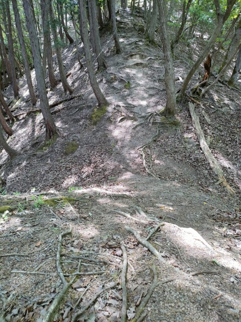 堀切を越えて