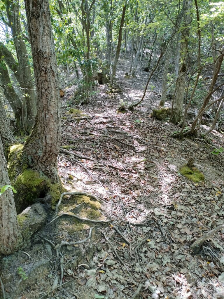 日の当たる坂道を