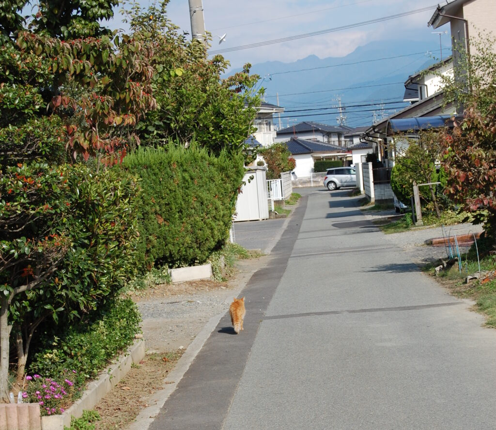 パトロールするえびぞー